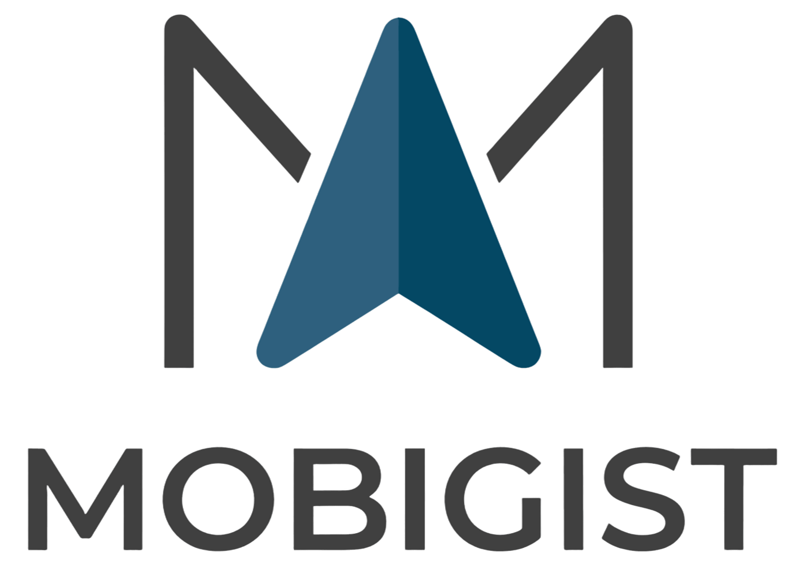 Mobigist : Get the Mobility Gist